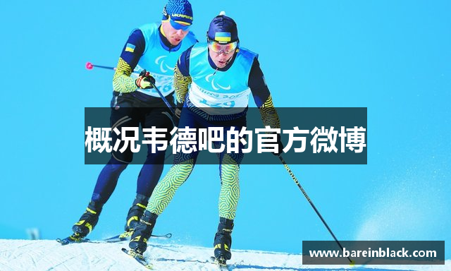 概况韦德吧的官方微博